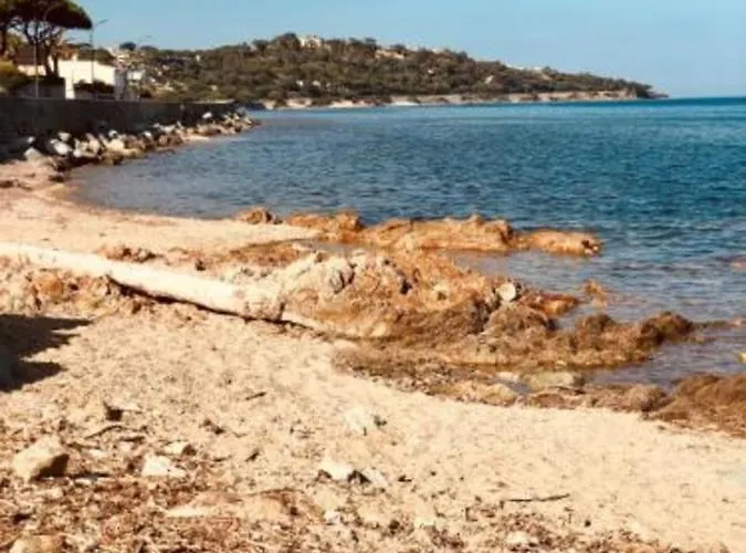 With Pool Magnificent Sea View 80m To Apartment *